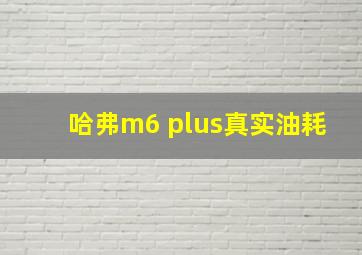 哈弗m6 plus真实油耗